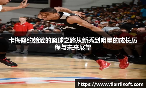 im电竞平台官网